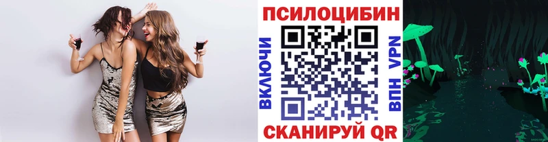 Псилоцибиновые грибы GOLDEN TEACHER  Конаково 